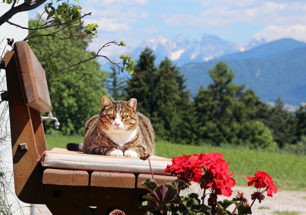 Niederhaeusererhof Villa Falzes Exterior foto